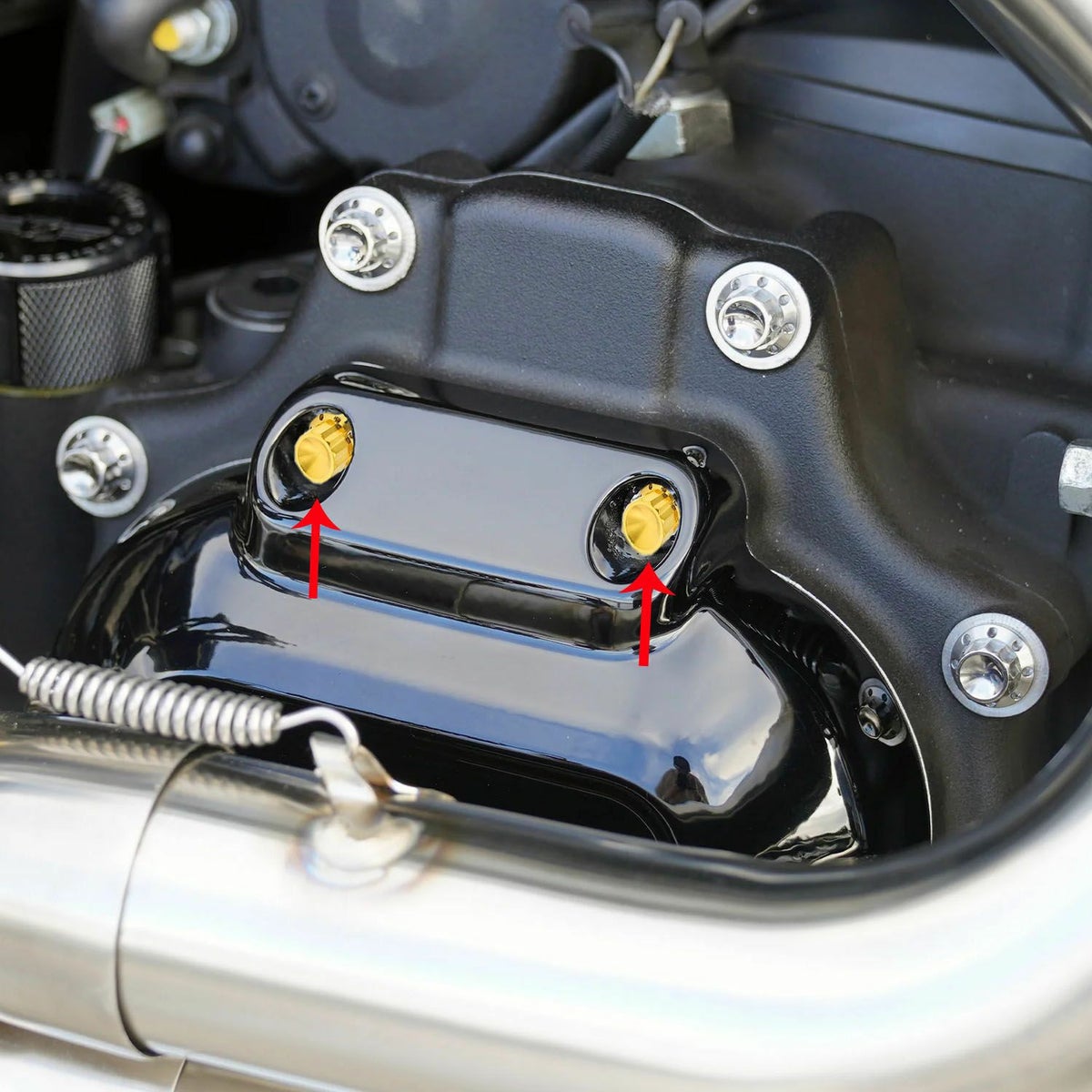 Arlenness（アレンネス） チタン 12ポイント トランスミッションサイドカバー ボルトキット ゴールド 2017～2020 ツーリング