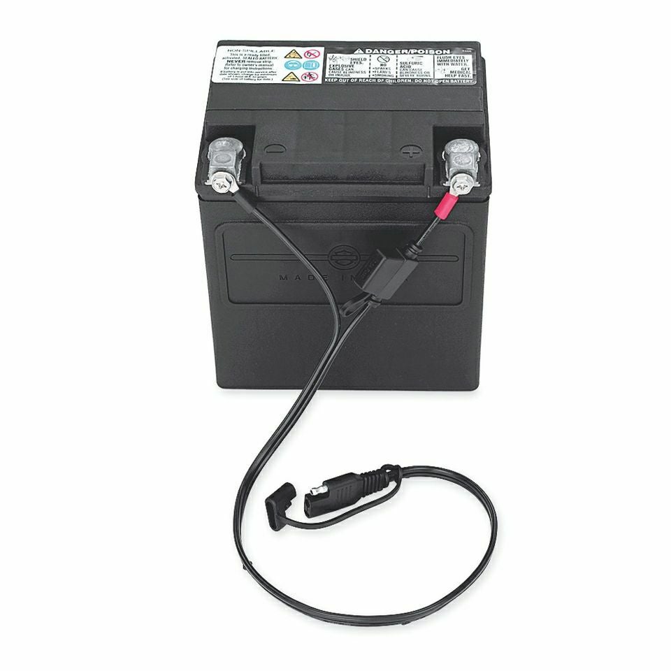 000000014121-02.jpg?size=l&w=