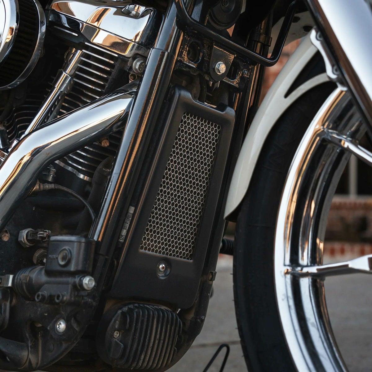 オイルクーラーガード (クローム)2