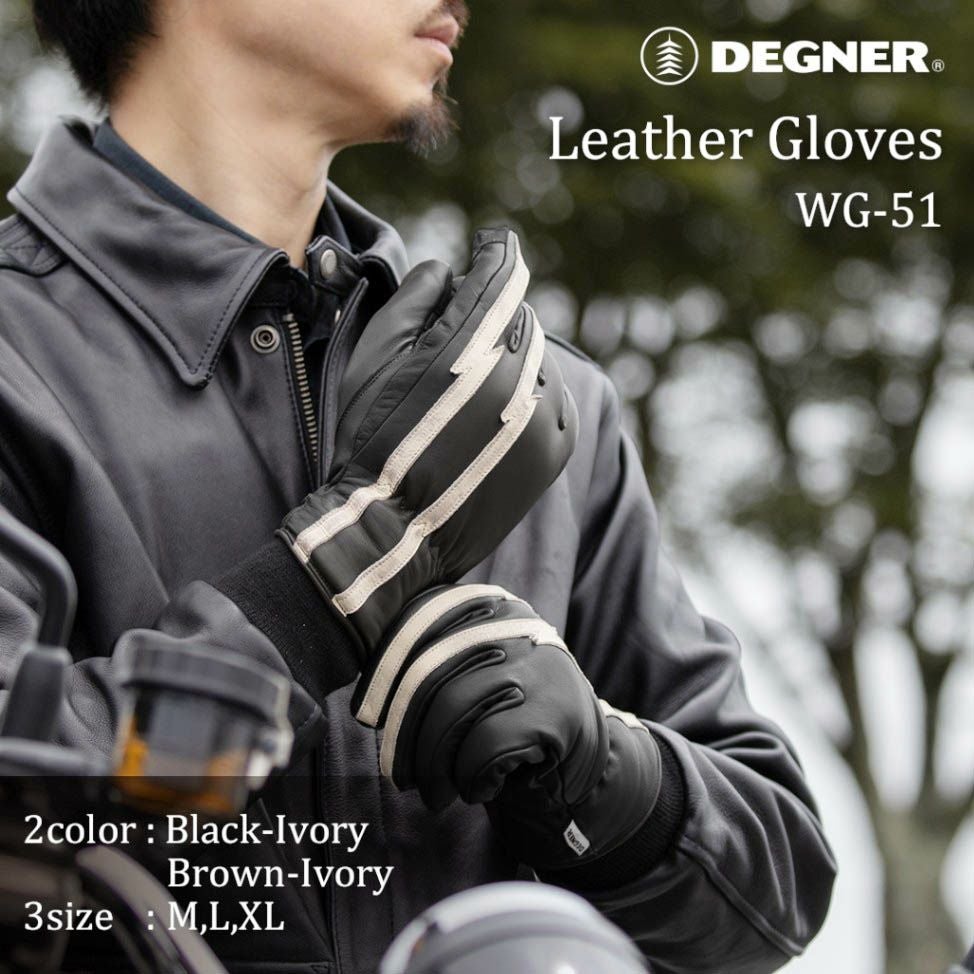 DEGNER デグナー ウインター レザーグローブ ブラック