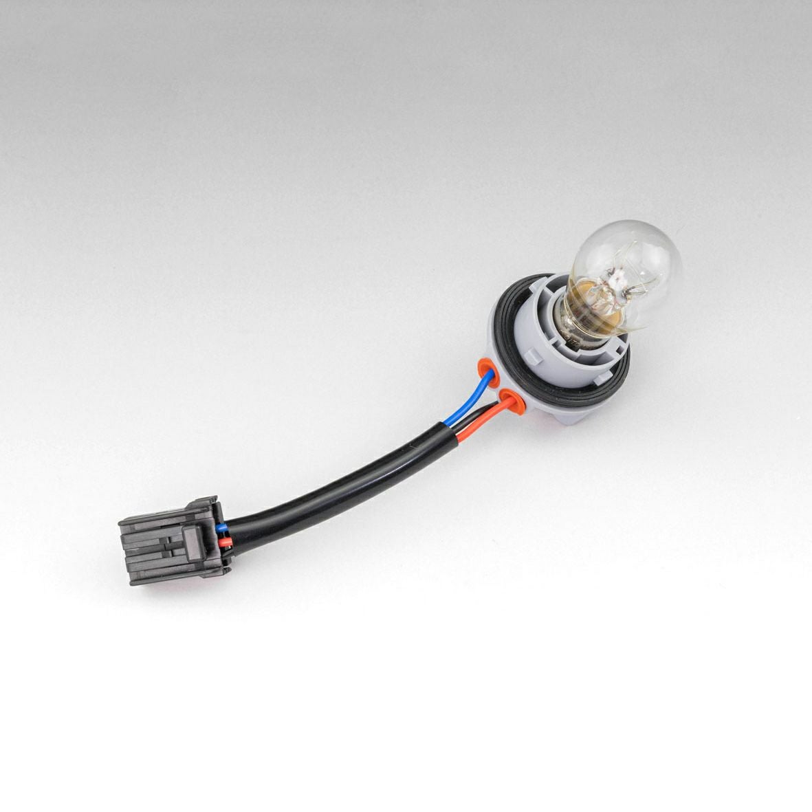 スクエアテールライト用 テールランプソケットASSY & 耐震バルブセット1