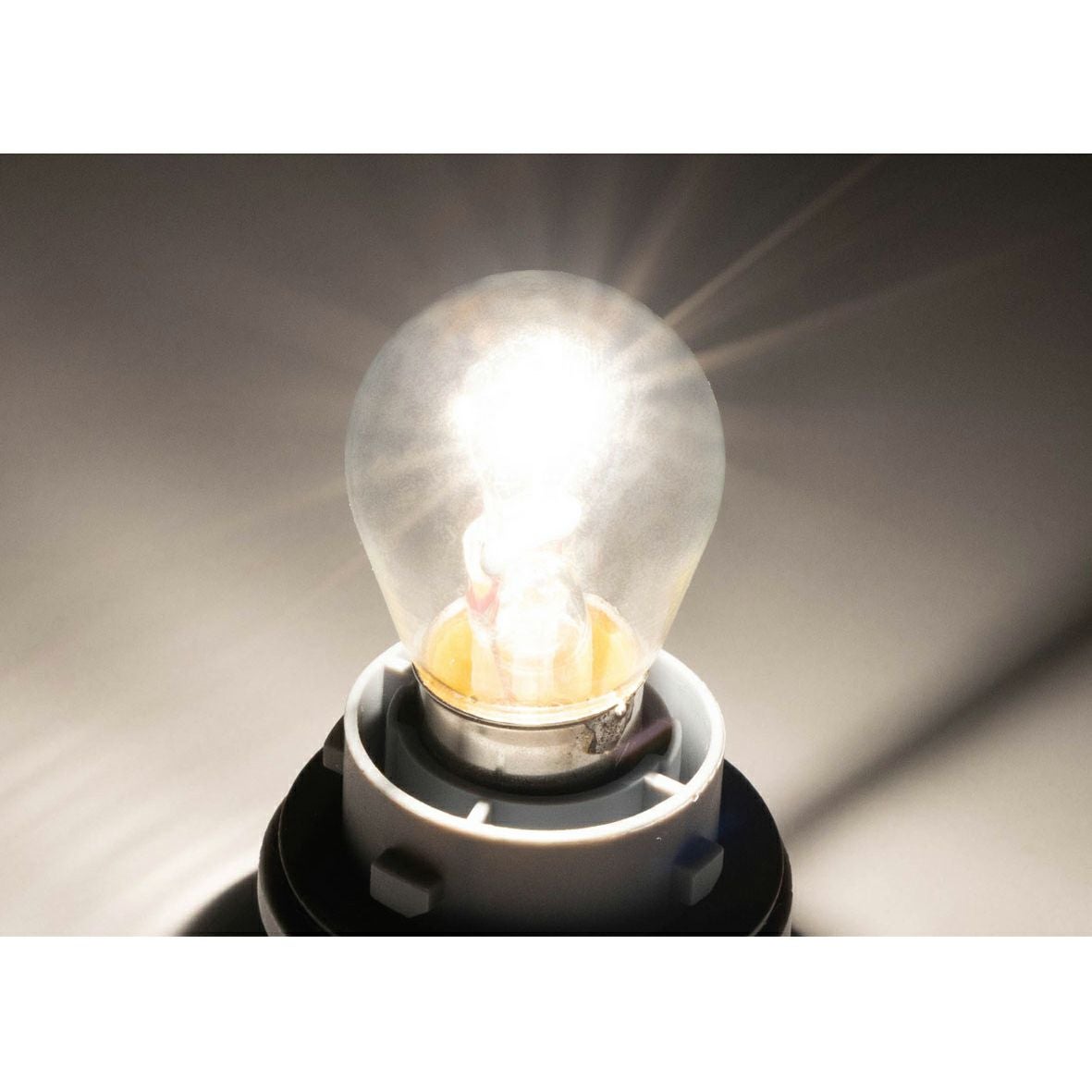 スクエアバックテールライト・テールランプソケットASSY用 交換バルブ2