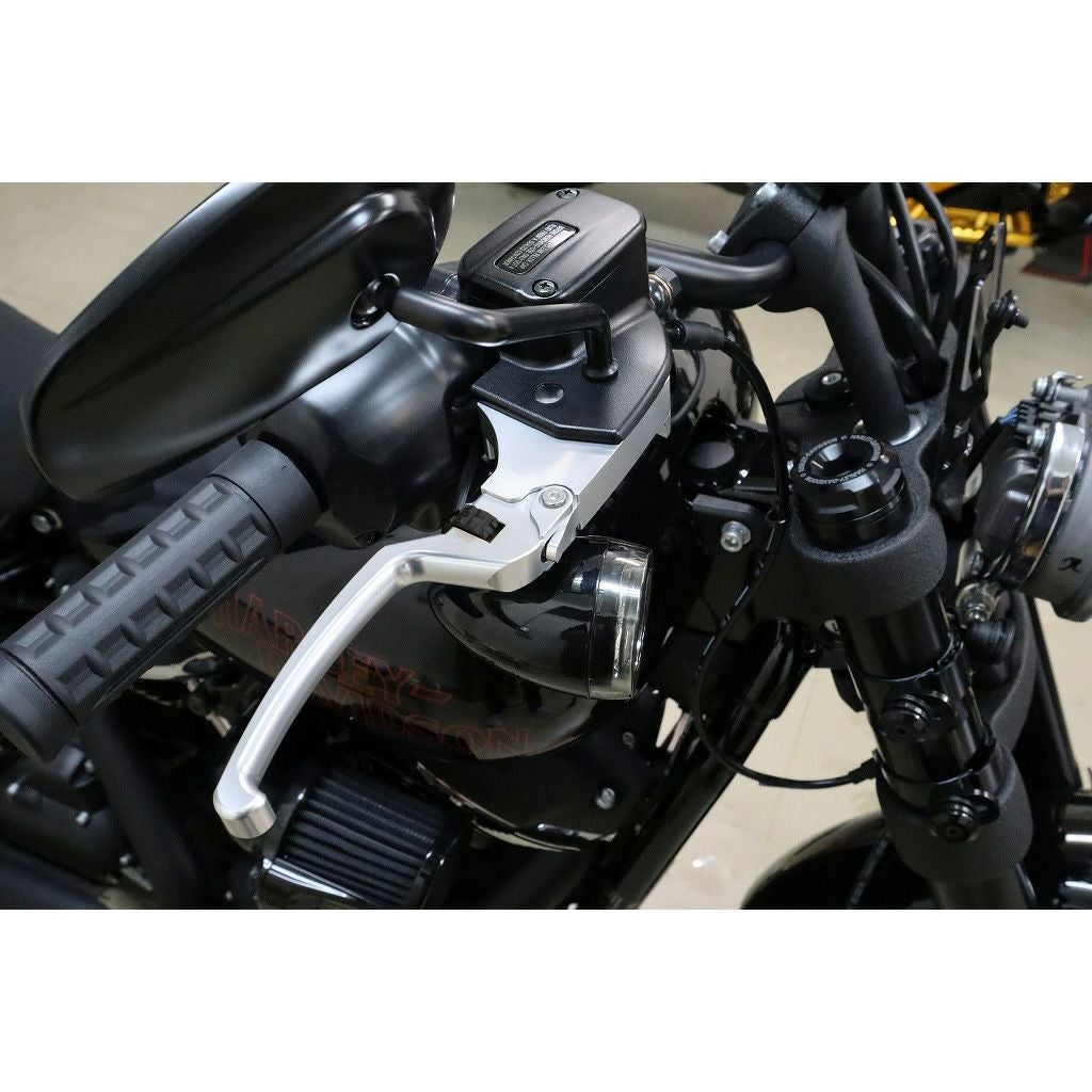 アジャスタブルレバーセット スタンダードタイプ (シルバー/ブラック)2