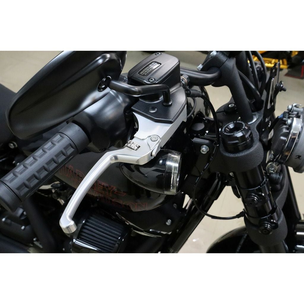 アジャスタブルレバーセット スタンダードタイプ (シルバー/シルバー)2