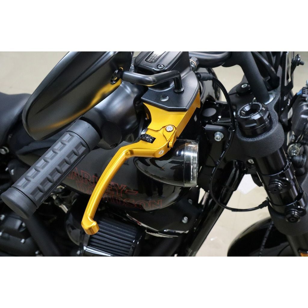 アジャスタブルレバーセット スタンダードタイプ (ゴールド/ブラック)2