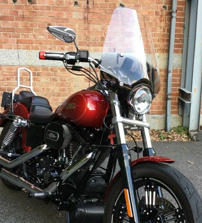 メンフィスシェード　RIO GRANDE 19インチ　スポーツシールド グラデーションブラック-02