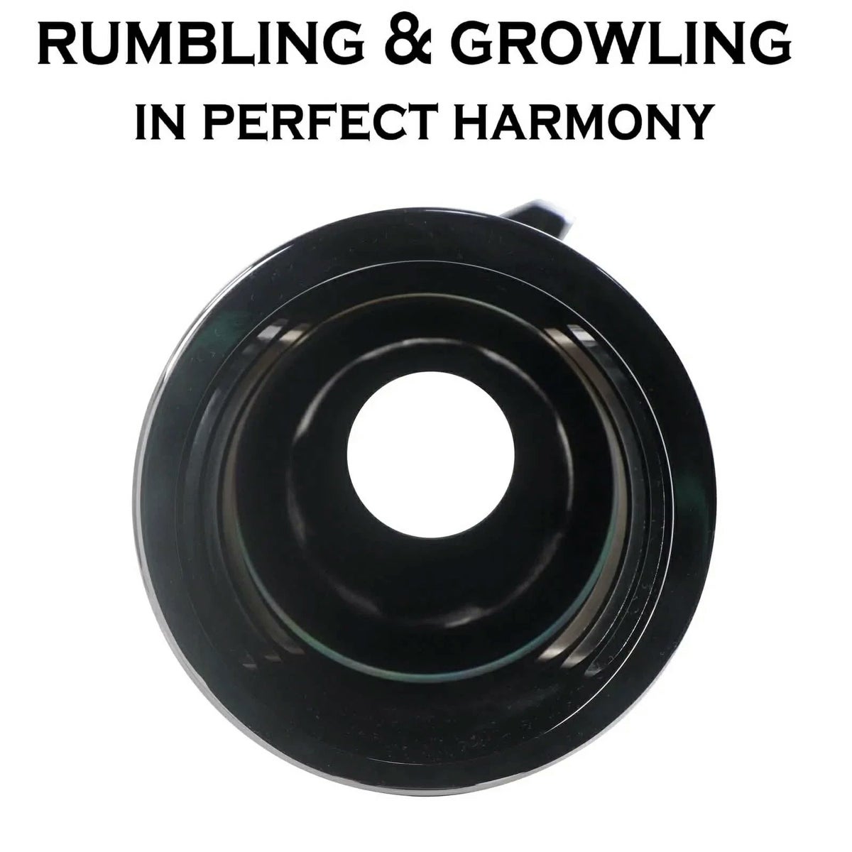 シャークロード 4インチ スリップオンマフラー (クローム)3