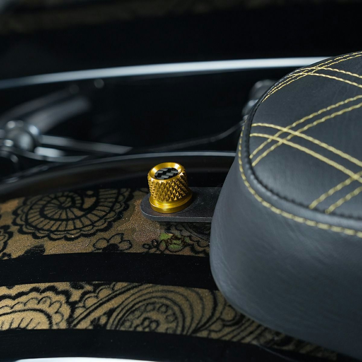 カーボンインサート・ハーレー用 シートスクリュー (ゴールド)3