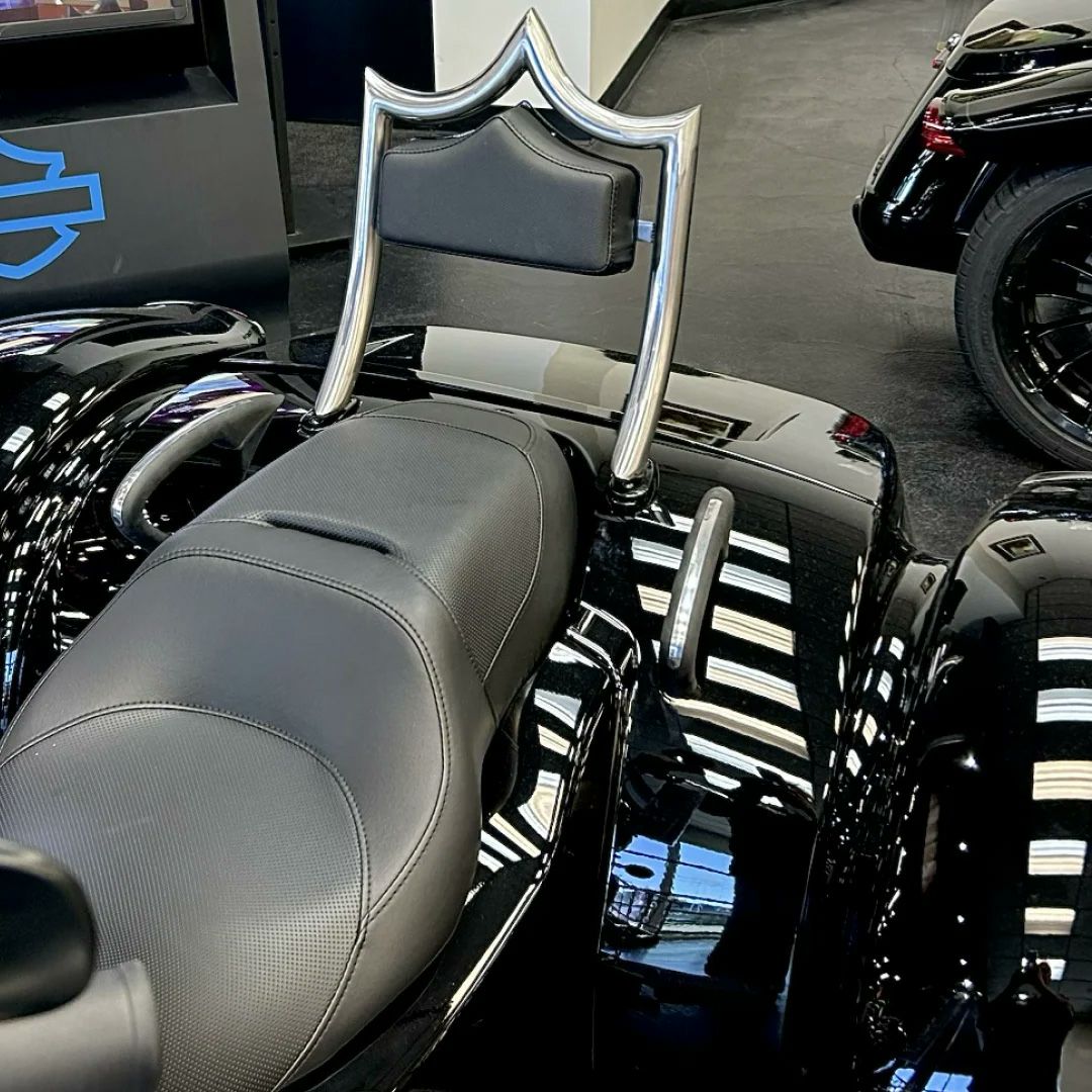 エル・レイ トライク用 デタッチャブルバックレスト クローム (ブルーダブルダイアモンド)3