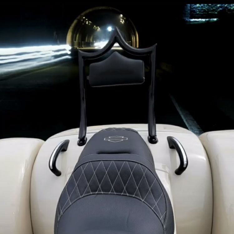 エル・レイ トライク用 デタッチャブルバックレスト グロスブラック (ステルスバックレスト)1