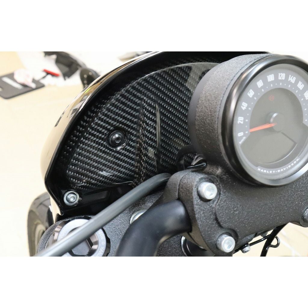 ドライカーボン・インナーカウルカバー (綾織り/艶あり)1