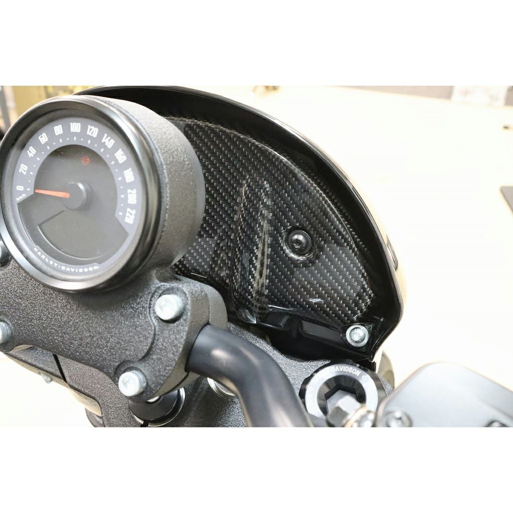 ドライカーボン・インナーカウルカバー (綾織り/艶あり)2