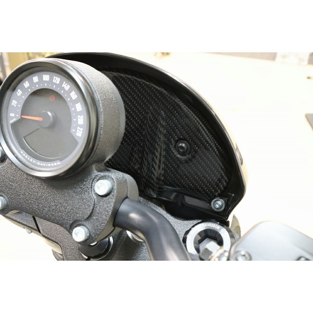 ドライカーボン・インナーカウルカバー (綾織り/艶消し)2