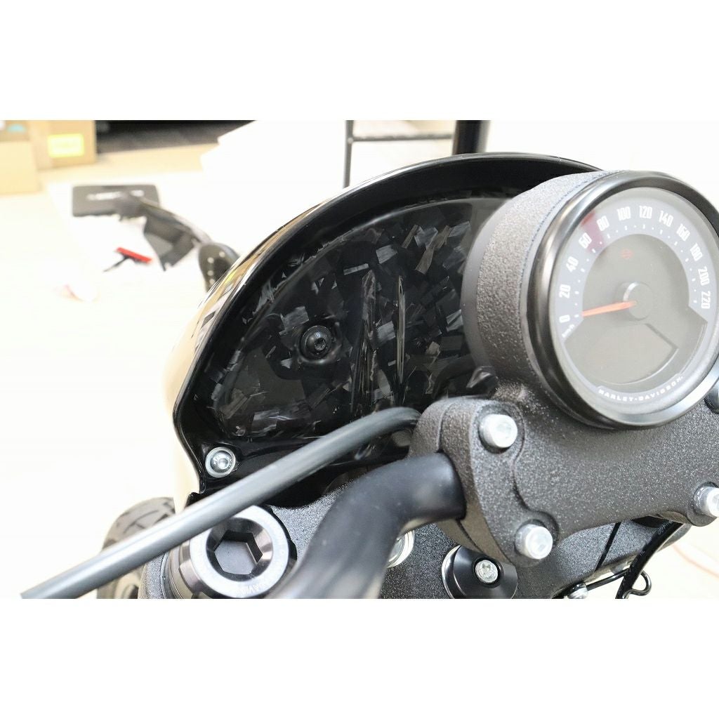 ドライカーボン・インナーカウルカバー (フォージド/艶消し)1