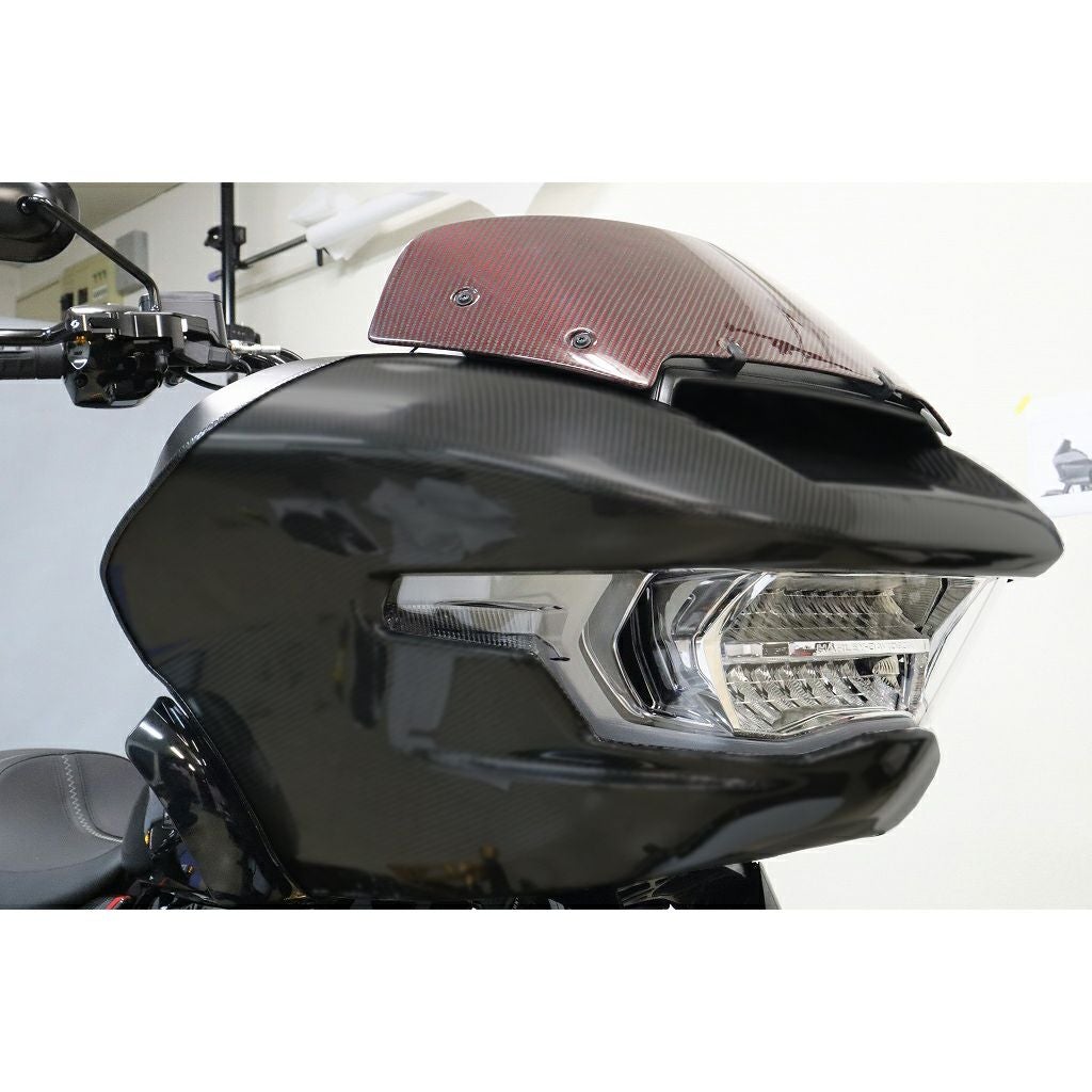 ドライカーボン・アウターフェアリング (綾織り/消し)2