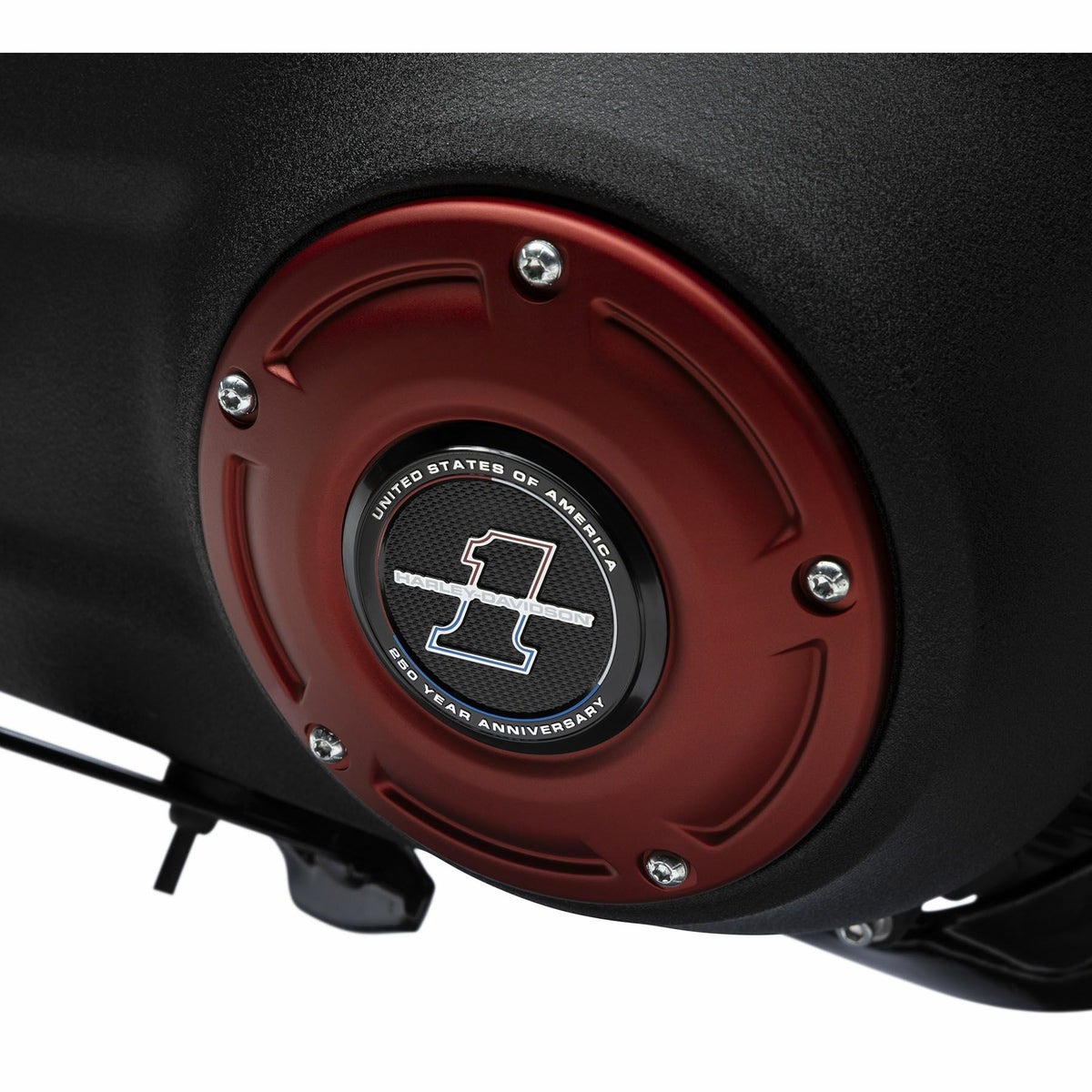 アメリカ建国250周年記念 メダリオン (ミディアム)2