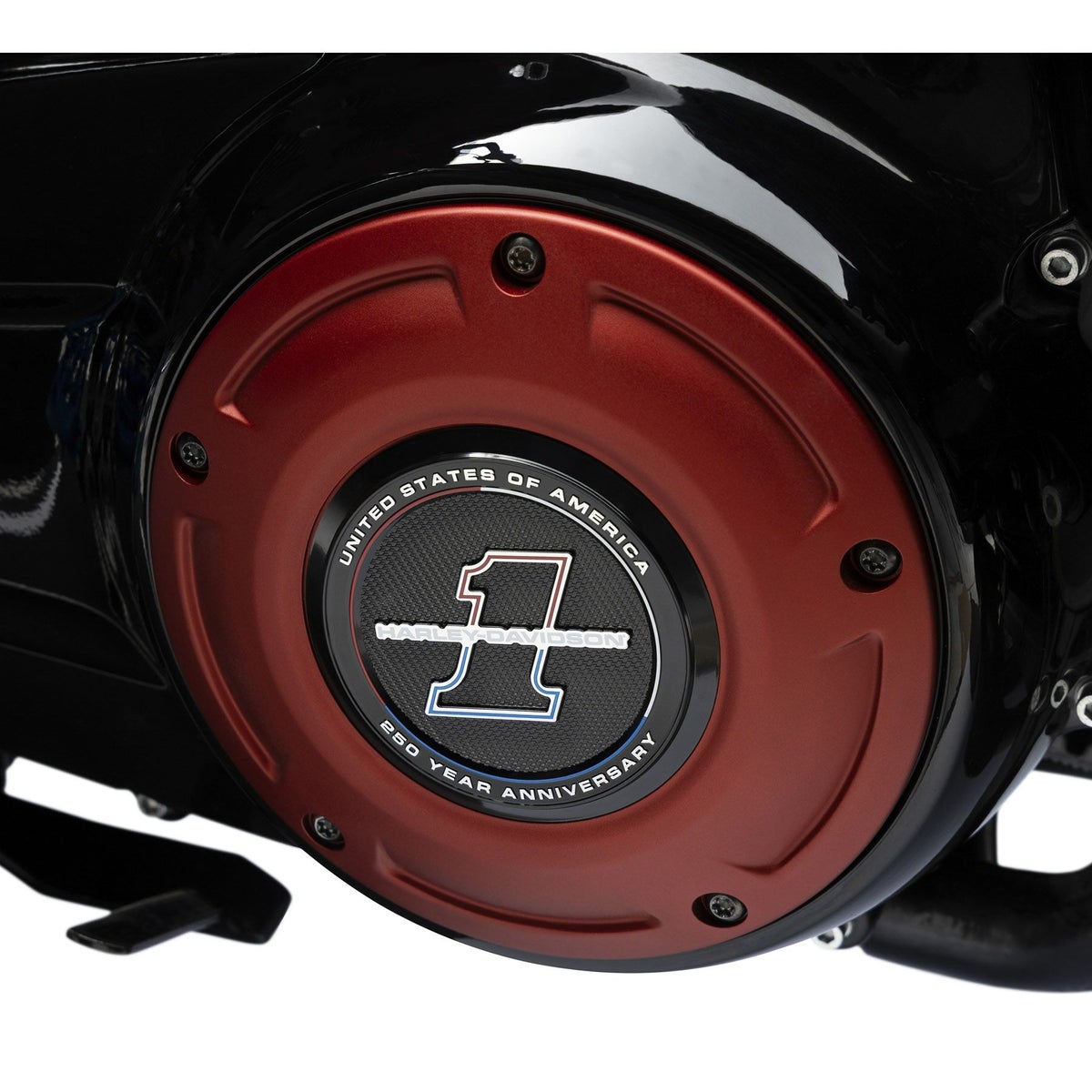 アメリカ建国250周年記念 メダリオン (ラージ)4