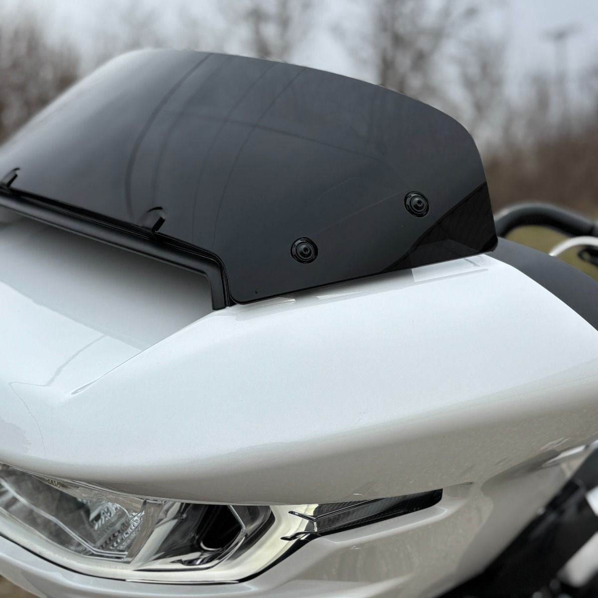 HOGWORKZ ウィンドシールド ボルトセット (ブラック)