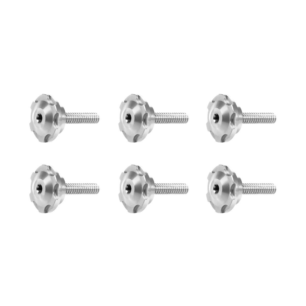 HOGWORKZ ウィンドシールド ボルトセット (シルバー)3