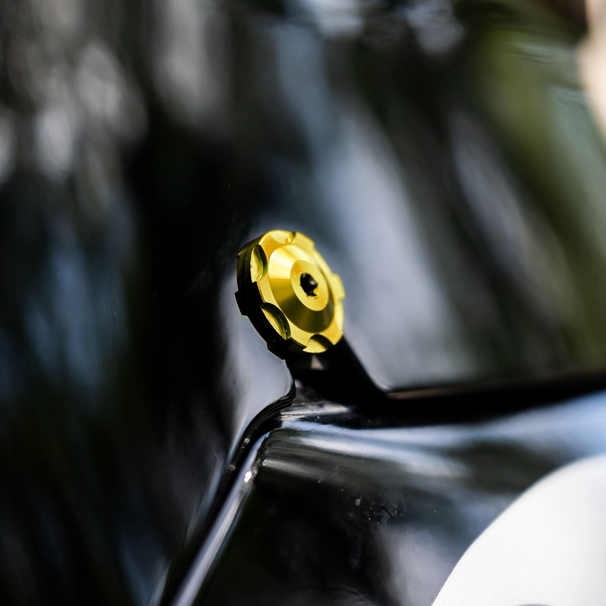 HOGWORKZ ウィンドシールド ボルトセット (ゴールド)3