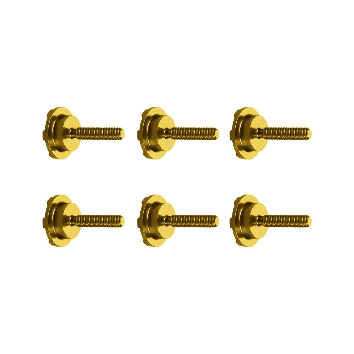 HOGWORKZ ウィンドシールド ボルトセット (ゴールド)5