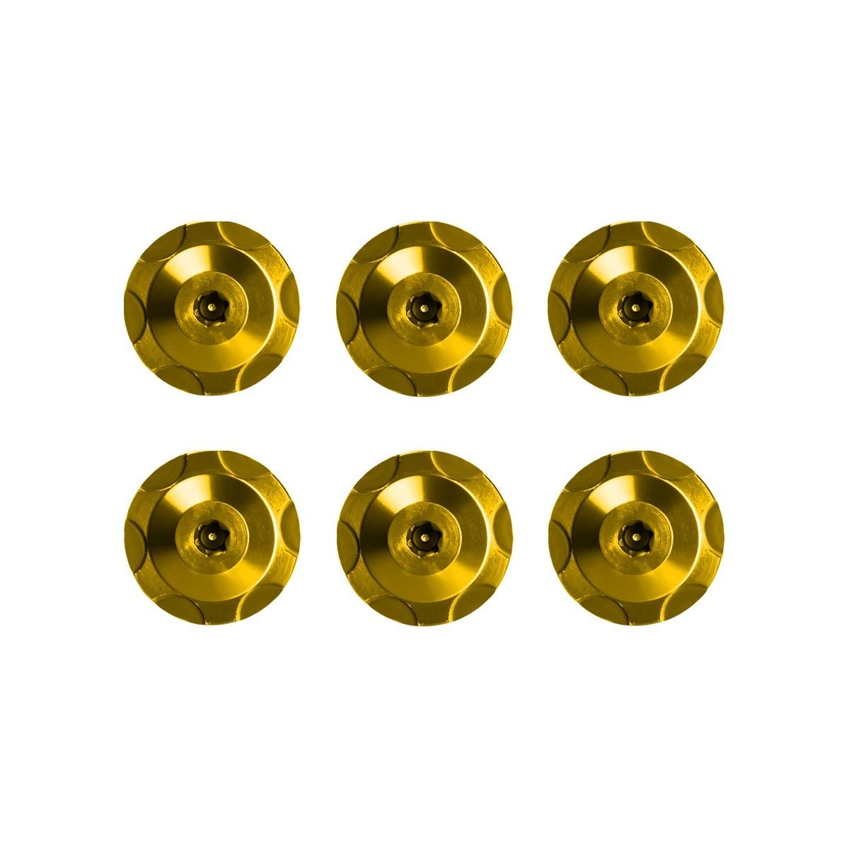 HOGWORKZ ウィンドシールド ボルトセット (ゴールド)6