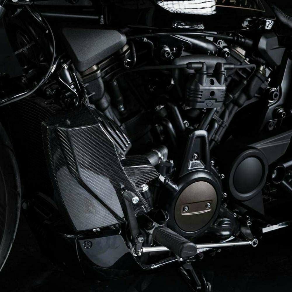 ZARD スポーツスターS カーボン ラジエターカバー 1