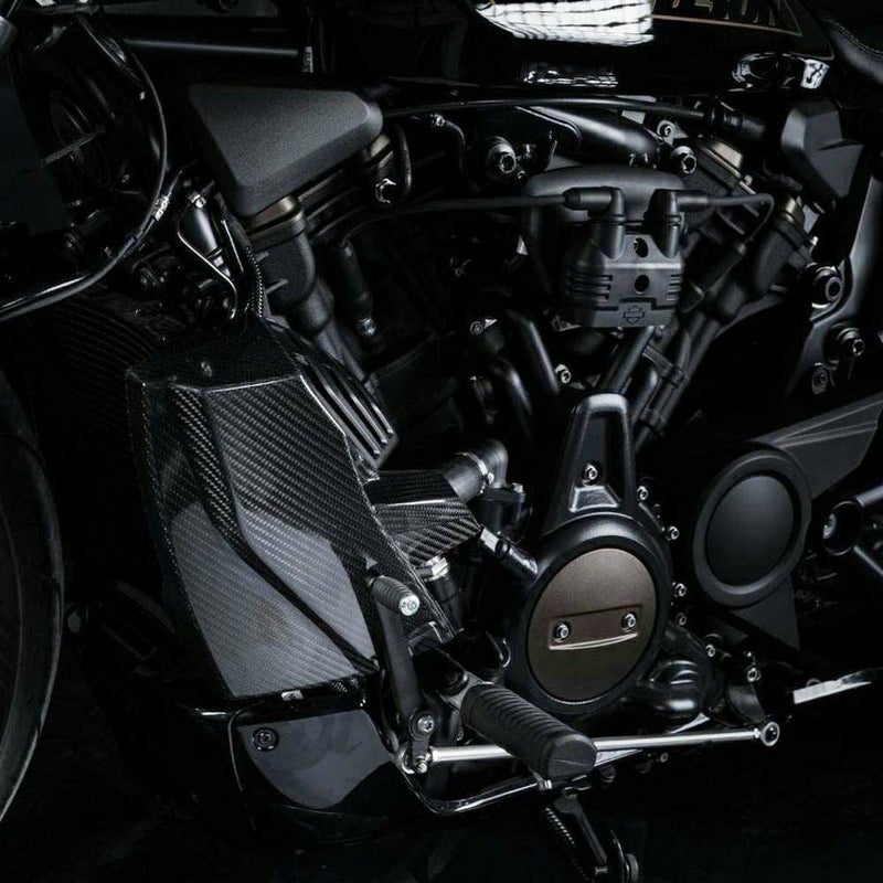 ZARD スポーツスターS カーボン ラジエターカバー 1