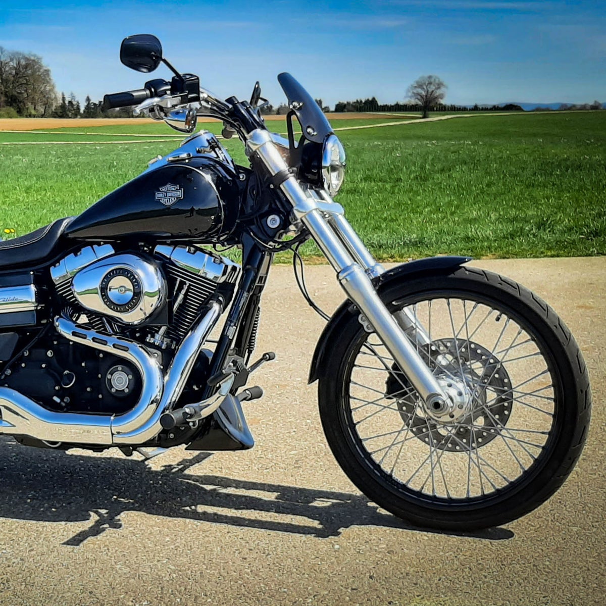 フライスクリーン ピラーニャS3 (ブラック)2