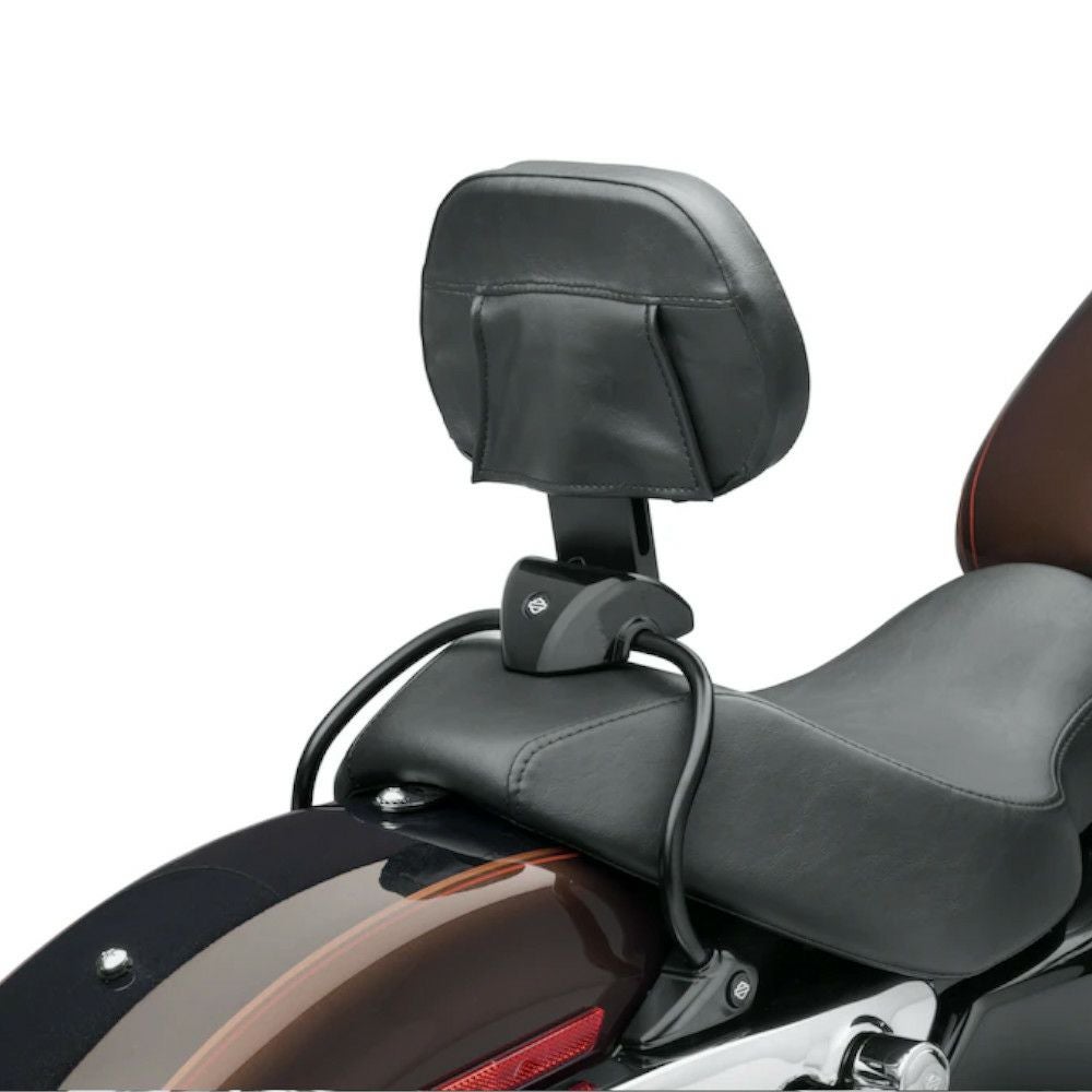 デタッチャブル・ライダーバックレスト-02