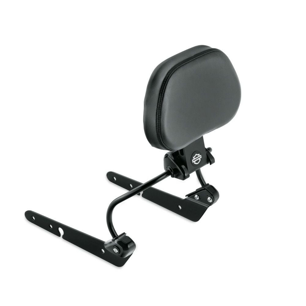 デタッチャブル・ライダーバックレスト-03