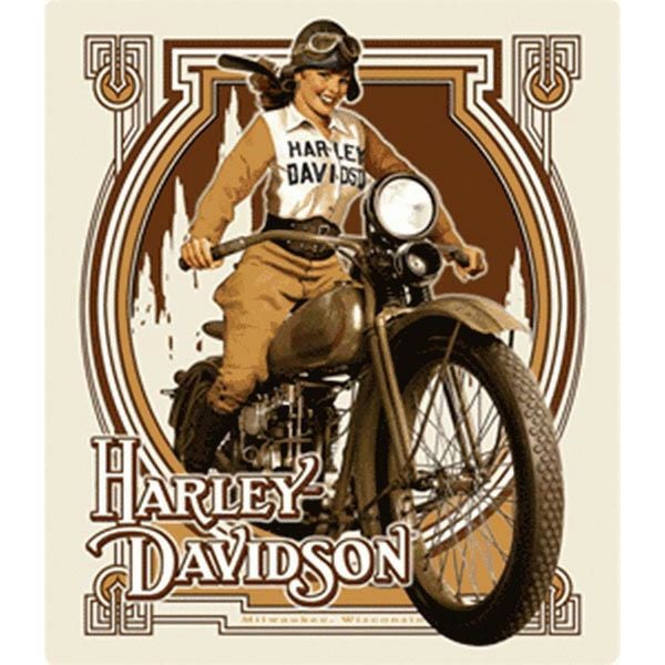 Harley-Davidson Bar & Shield Eagle Cue Ball |ハーレーパーツ専門店