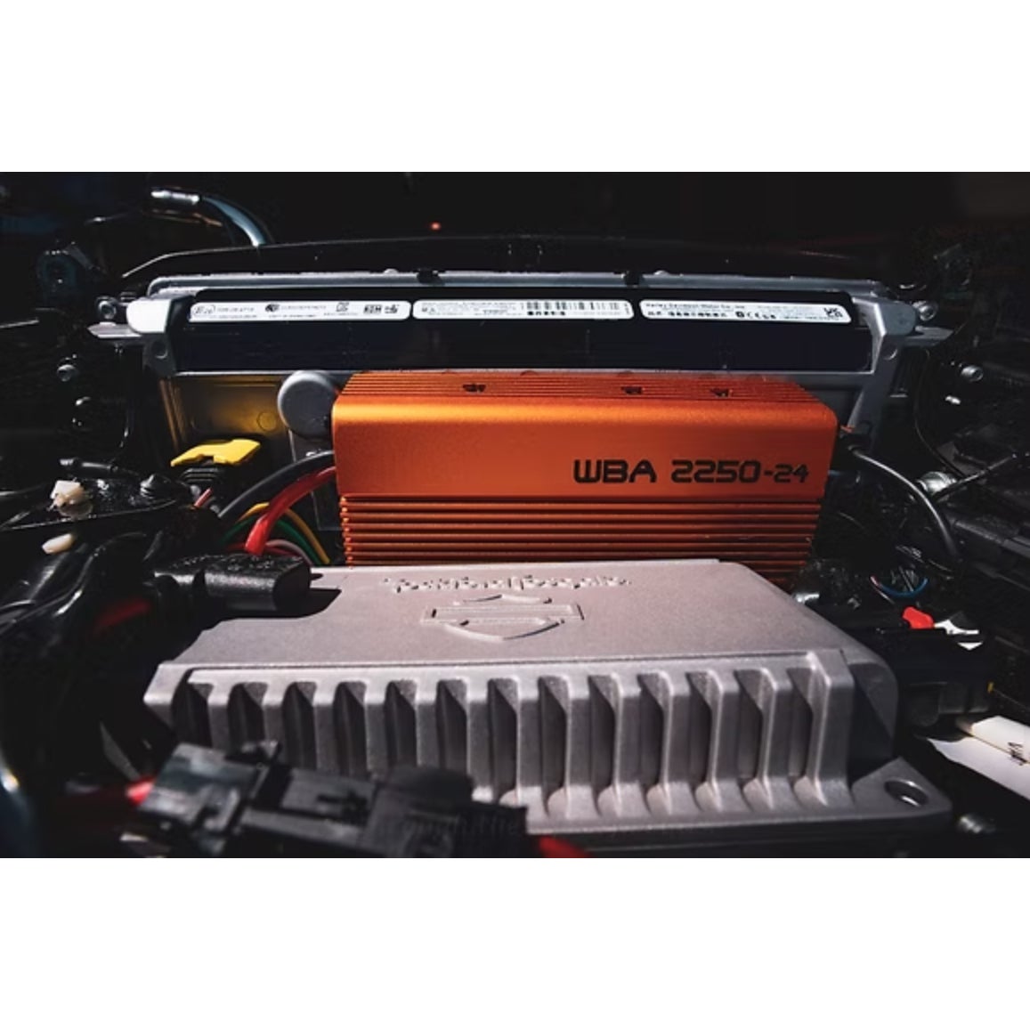 Wild Boar Audio2 スピーカー&500Wアンプキット3