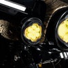 ゴールドトゥース LEDパッシングライト