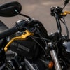 スポーツスター パフォーマンス・ハンドレバーセット (ゴールド)1