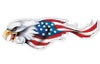 デカール USA EAGLE-02