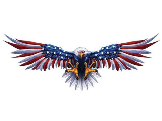 デカール USA EAGLE-02