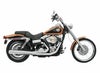 バッサーニ(Bassani) 2-in-1マフラー ロング 2006～2017ダイナ用  クローム-01