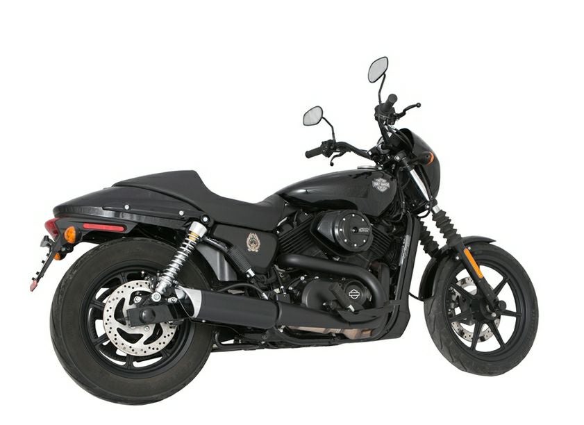 Tab Performance　スリップオンマフラー　ブラック/クロームエンド-02