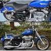 La Rosa Design　Cafeシート　ダイアモンドスティッチ 2004～2018 スポーツスター-03