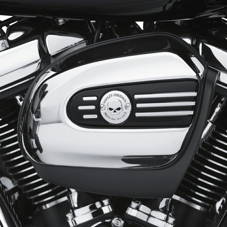 ウィリーGスカル・コレクション　エアクリーナートリム-02