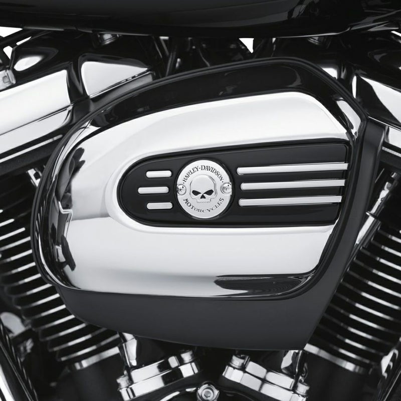 ウィリーGスカル・コレクション　エアクリーナートリム-02