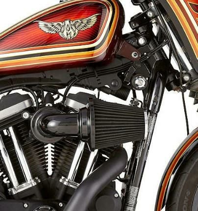 Arlenness MonsterSucker 乾式エアクリーナーキット ブラック-04