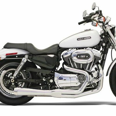 バッサーニ(Bassani) Road Rage 2-INTO-1 ショート クローム スポーツ 
