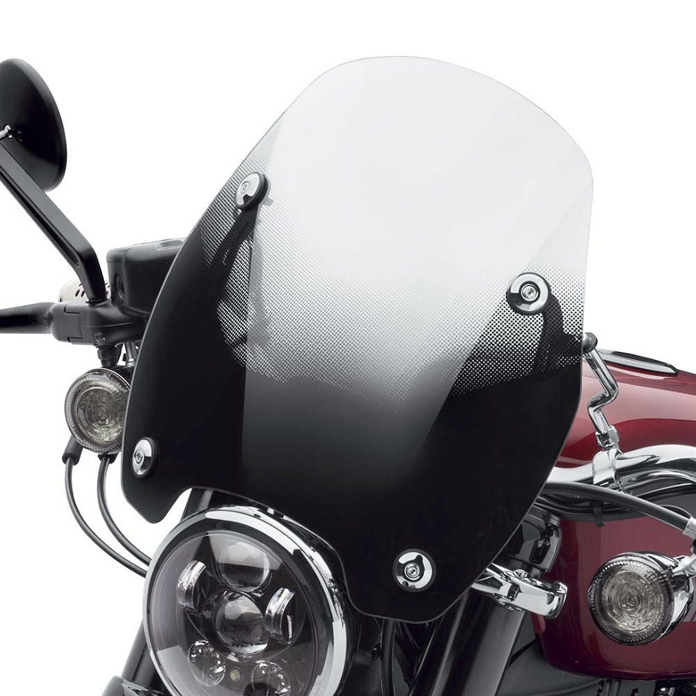 イージーライダース製 ハーレーXL1200X フォーティーエイト用 ビキニ