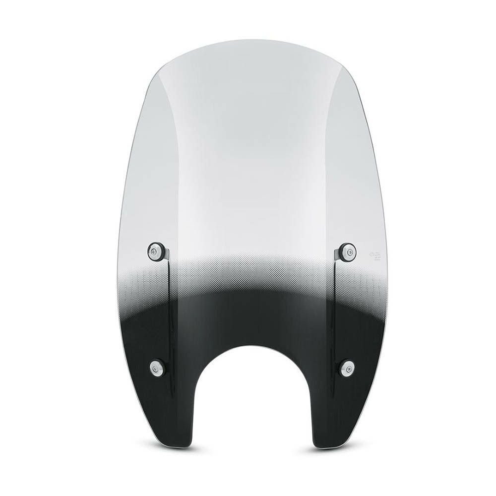 クイックリリース スーパースポーツウインドシールド FXSE-02