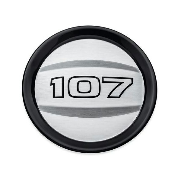 107 ロゴ エアクリーナートリム-02