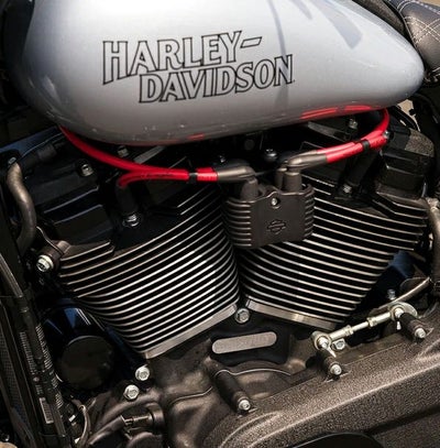 スクリ―ミンイーグル 10MM ファットプラグワイヤー レッド-04