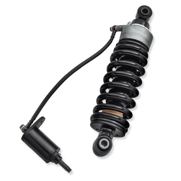 000000050036-01.jpg?size=m&w=