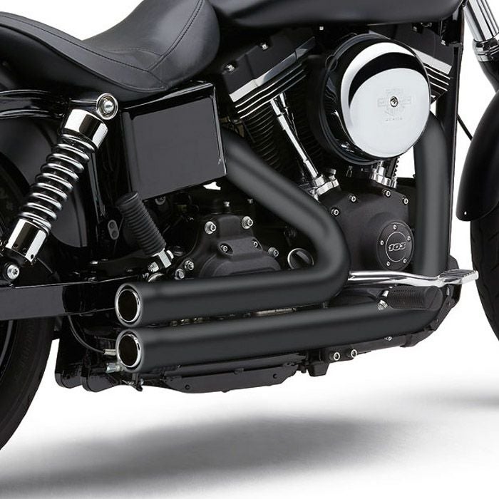 バッサーニ(Bassani) ファイアースウィープマフラー ブラック